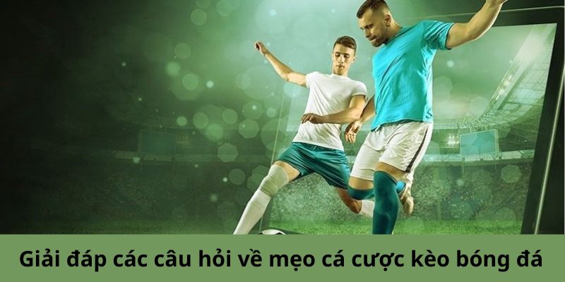 Giải đáp về mẹo cá cược kèo bóng đá