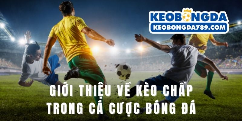 Giới thiệu về kèo chấp trong cá cược bóng đá