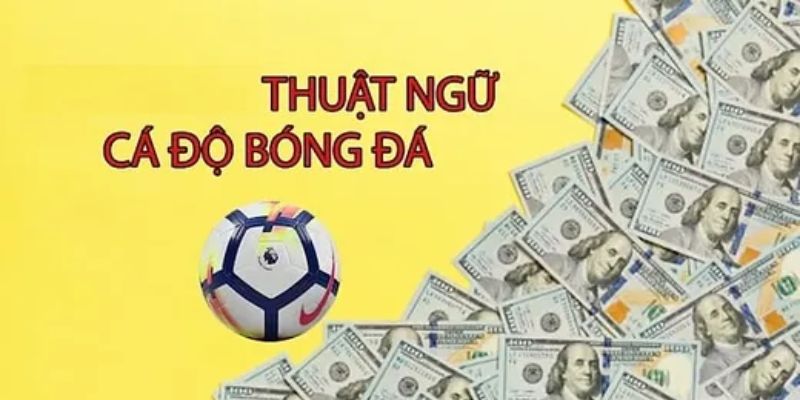 Một số thuật ngữ kèo bóng đá