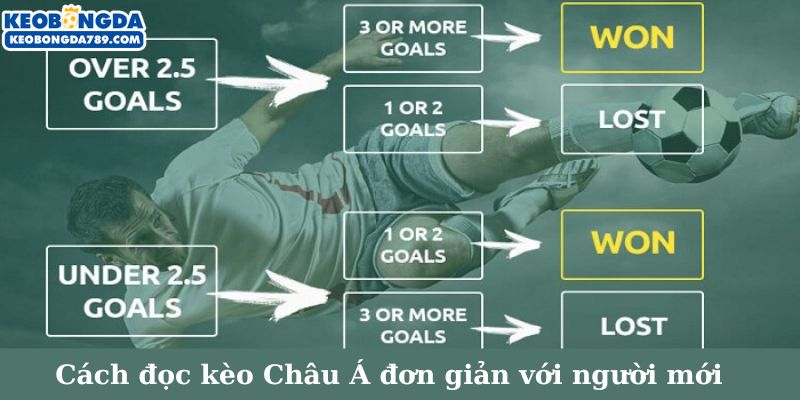 Cách đọc kèo Châu Á đơn giản dễ hiểu với người mới